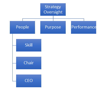 The Effective Oversight of Strategy
